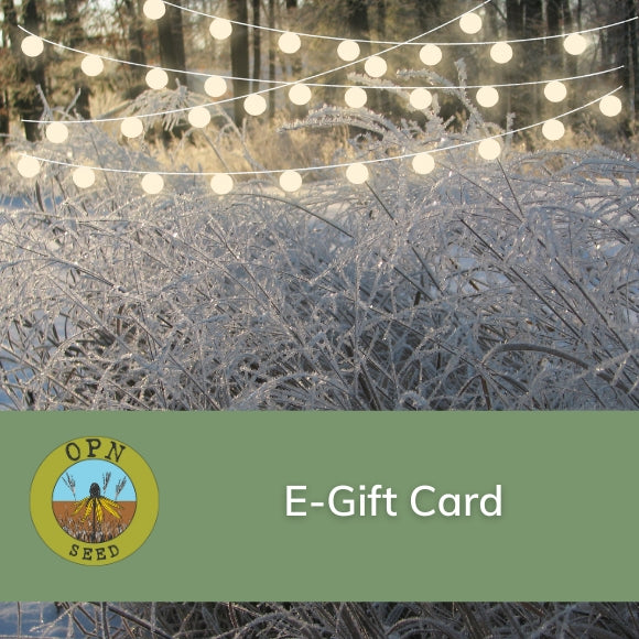 OPN Seed E-Gift Card