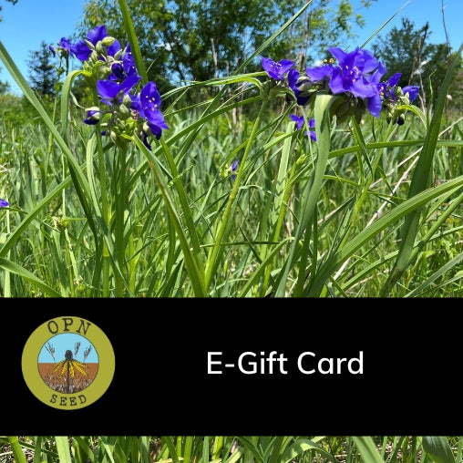 OPN Seed E-Gift Card